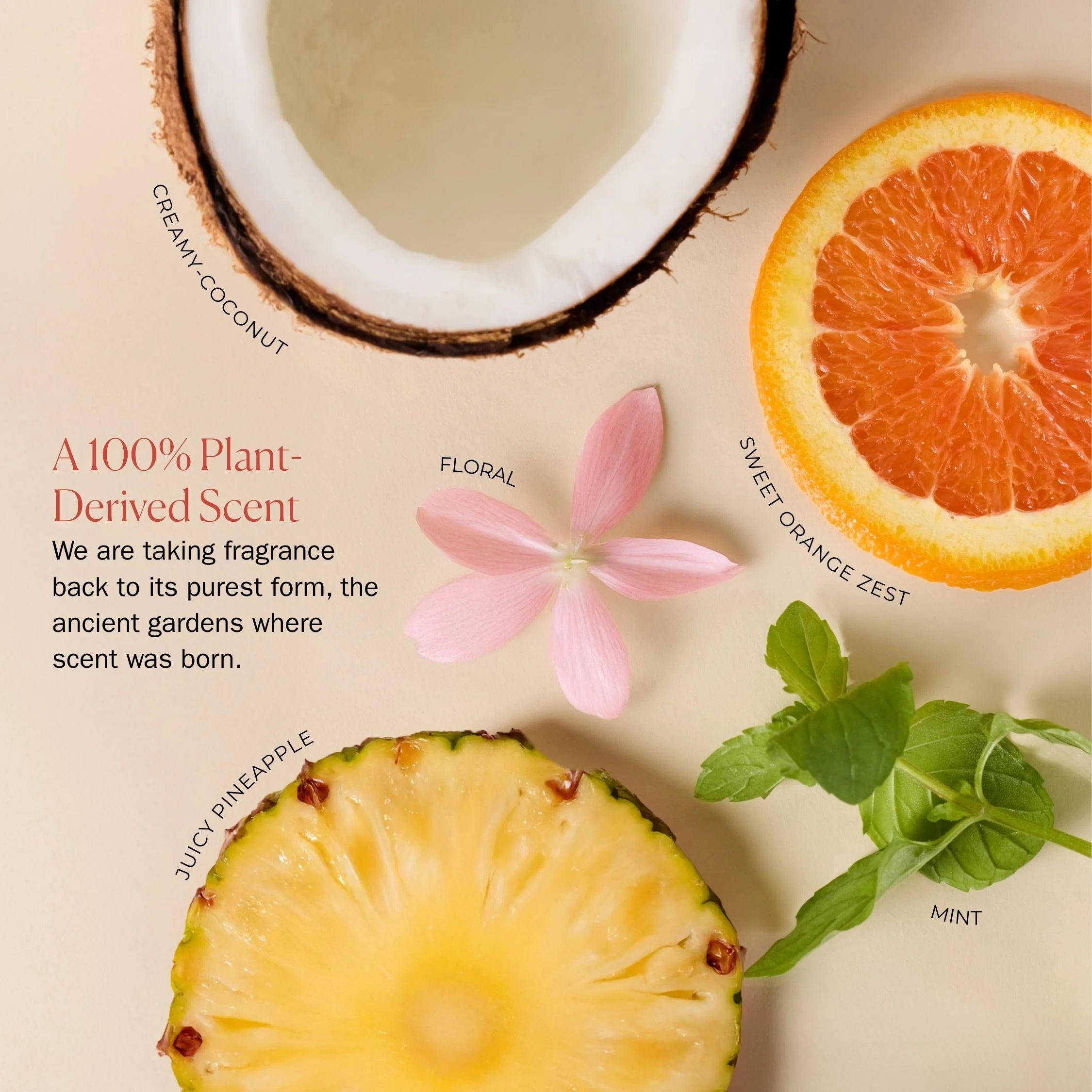 Bounce Curl Ceramide Jelly - plant-derived scent description