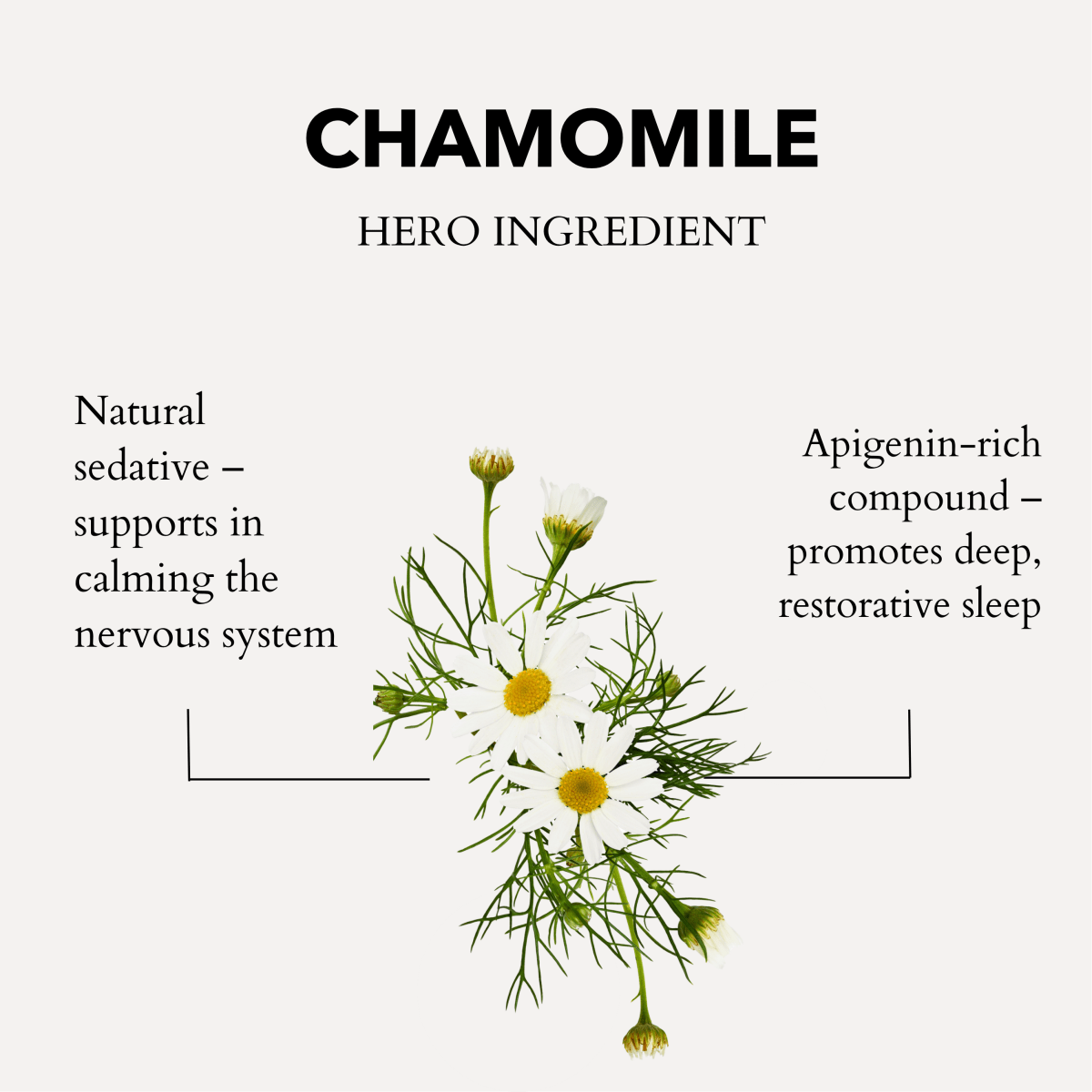 anatomē Calming Bath & Shower Oil with Roman Chamomile – Sleep & Stress Relief