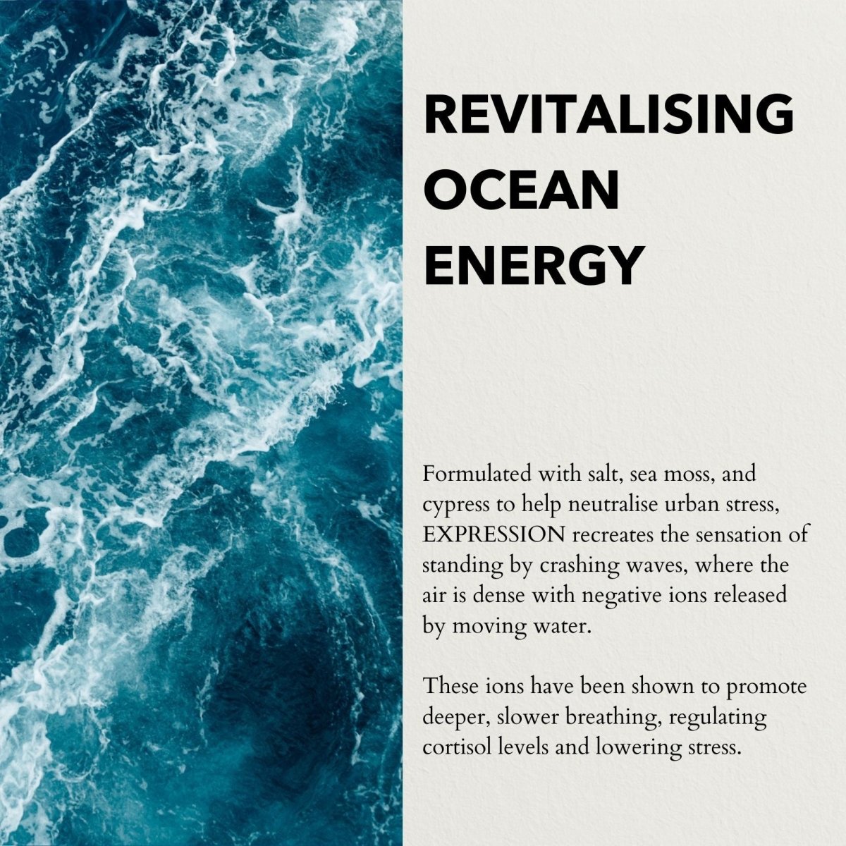 anatomē Expression Functional Parfum