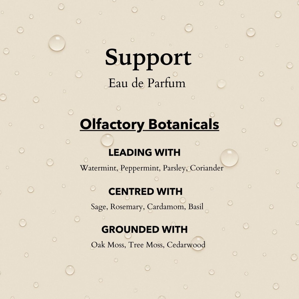 anatomē Support Functional Parfum  10ml