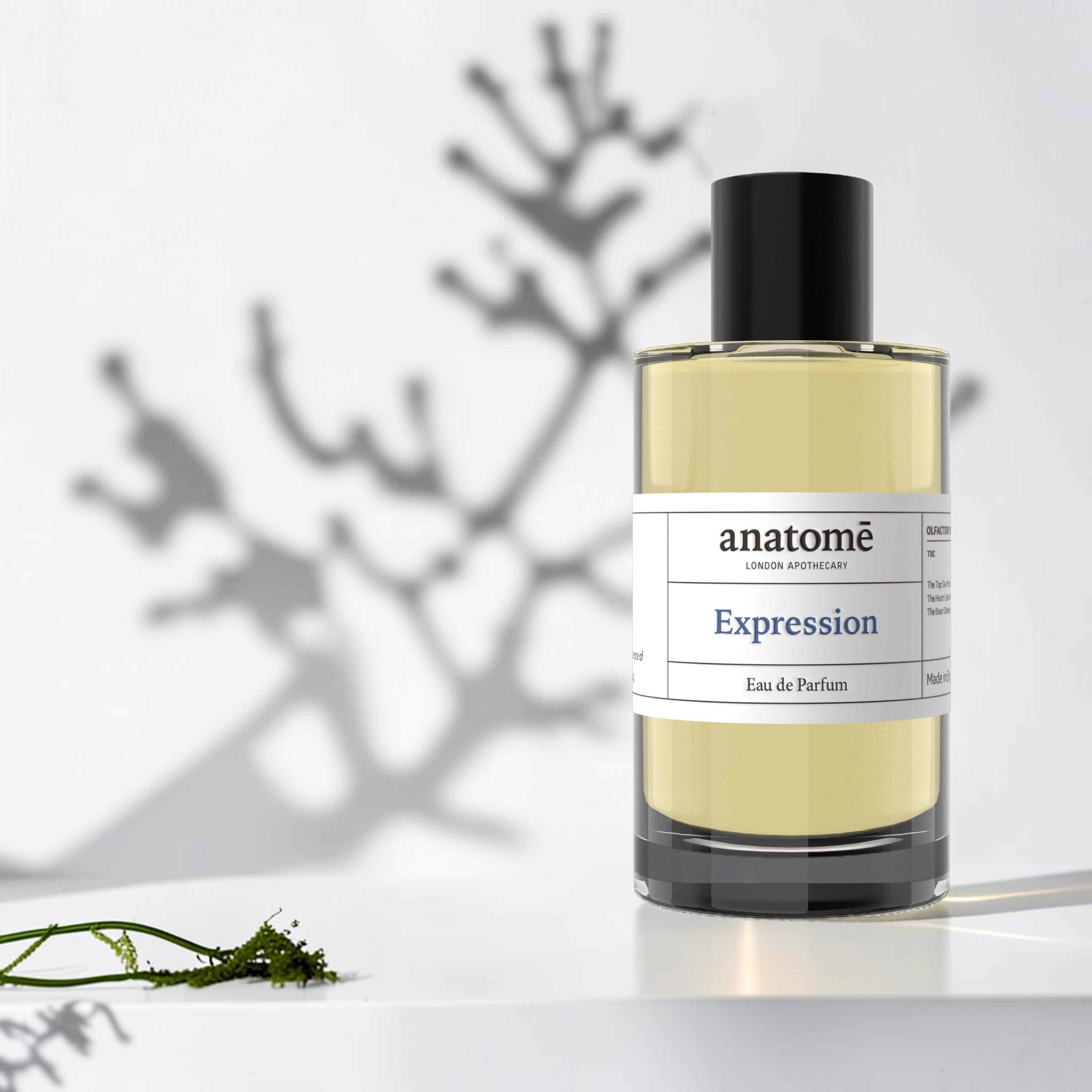 anatomē Expression Functional Parfum