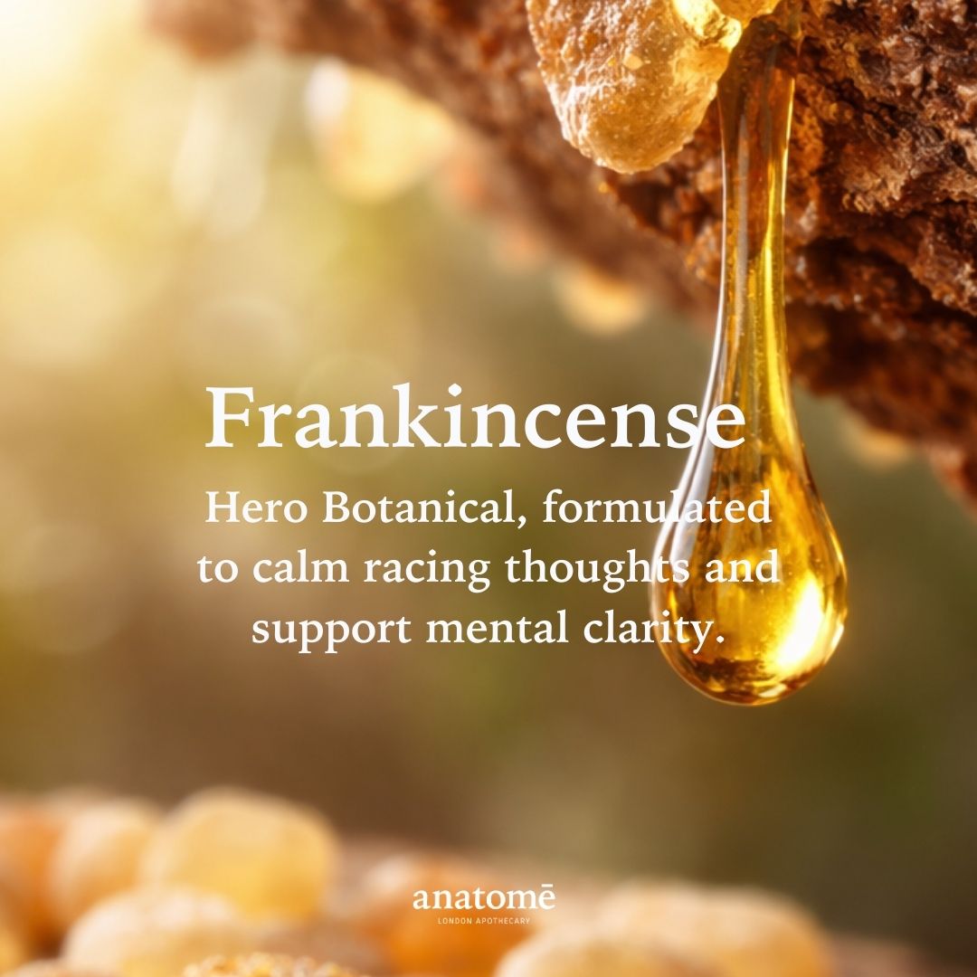 anatomē Overactive Mind Sleep Oil – Somali Frankincense  | 30ml