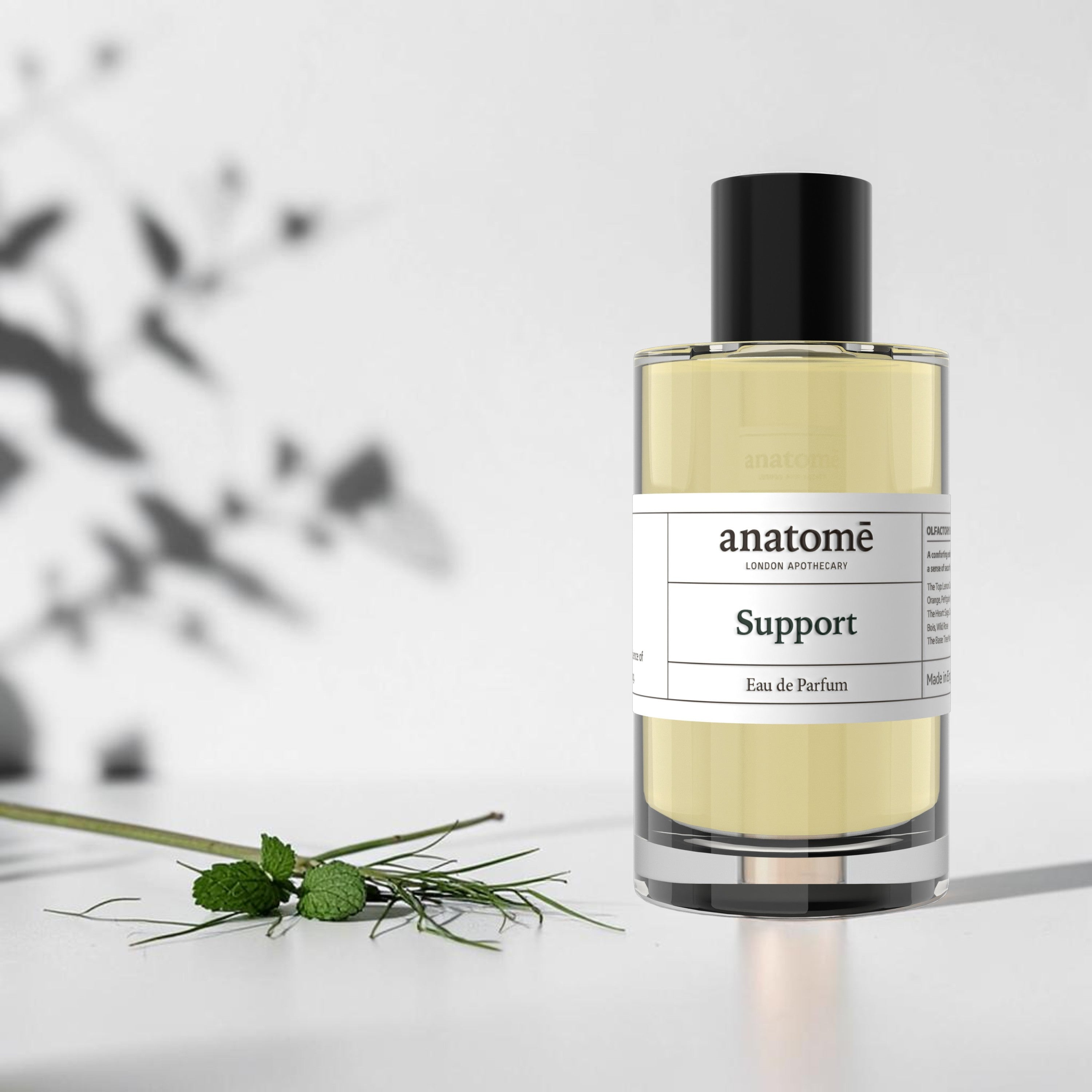anatomē Support Functional Parfum  10ml