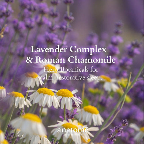 anatomē Restless Mind Sleep Oil | Roman Chamomile
